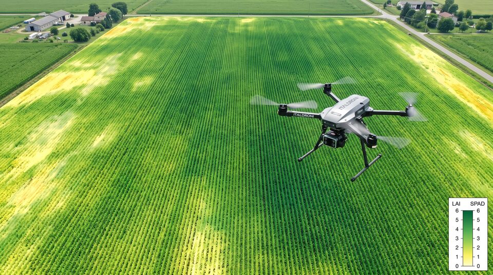 Drone agricolo multispettrale sorvola un campo di mais con mappa LAI e indici di clorofilla per la vigoria
