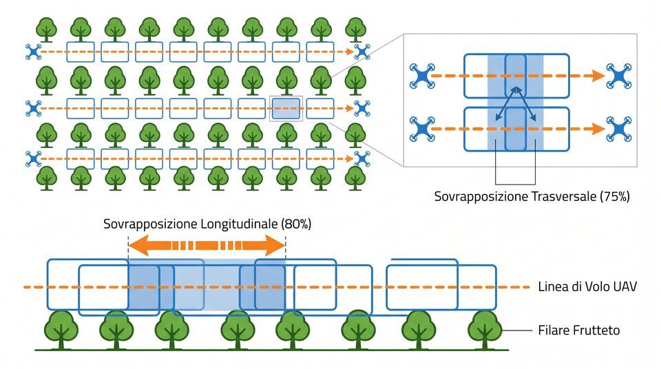 Schema di copertura fotografica del frutteto: sovrapposizione longitudinale 80% e trasversale 75%