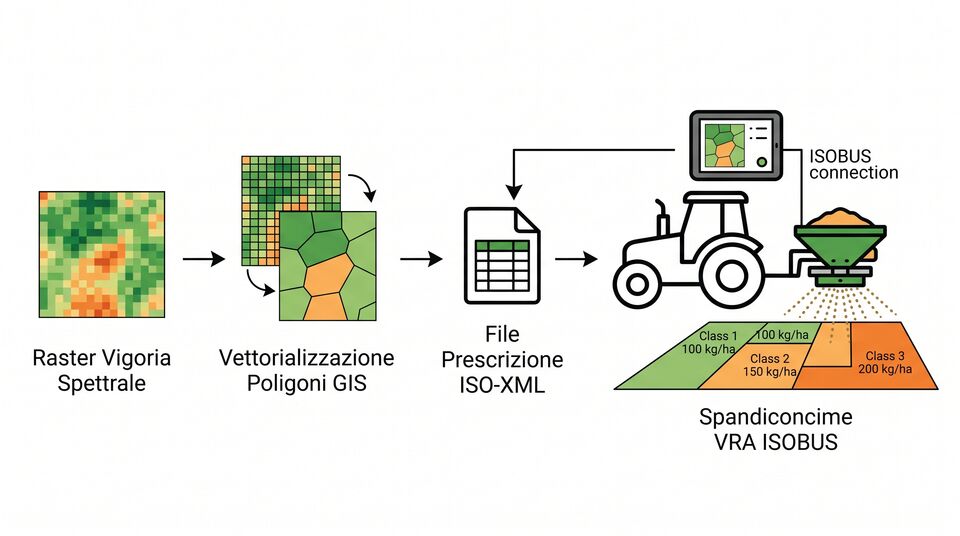 Flusso VRA ISOBUS: da raster di vigoria a poligoni GIS, file ISO-XML e spandiconcime a dosaggio variabile