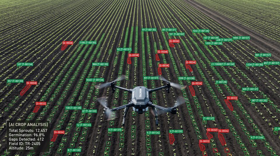 Vista aerea del conteggio piantine con drone: rilevamento delle fallanze di germinazione nel seminato