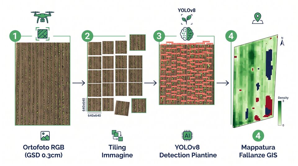 Workflow di conta piantine con drone: ortofoto RGB, tiling, detection e mappa GIS delle fallanze