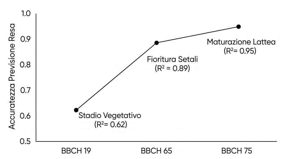 Accuratezza della previsione di resa del mais per stadio BBCH: dal vegetativo alla maturazione lattea