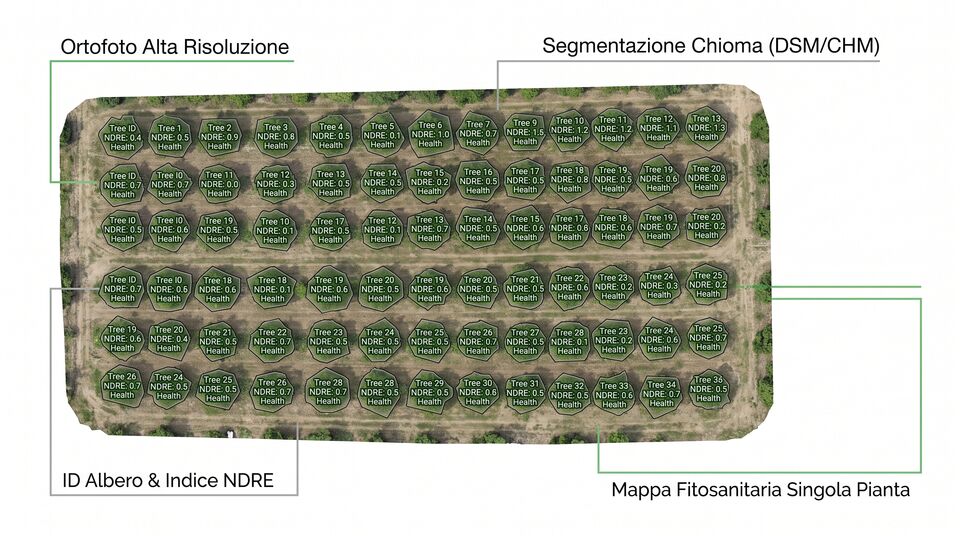 Ortofoto drone con segmentazione delle chiome e indice NDRE per pianta nella mappa fitosanitaria