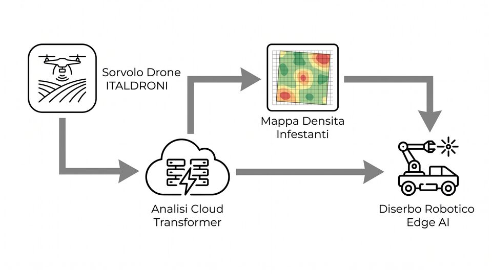 Flusso dal sorvolo drone alla mappa di densità delle infestanti fino al diserbo robotico edge AI