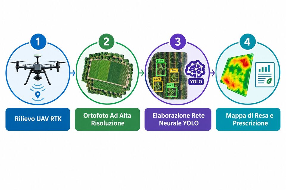 Le quattro fasi della stima di resa: rilievo RTK, ortofoto, rete neurale YOLO e mappa di resa