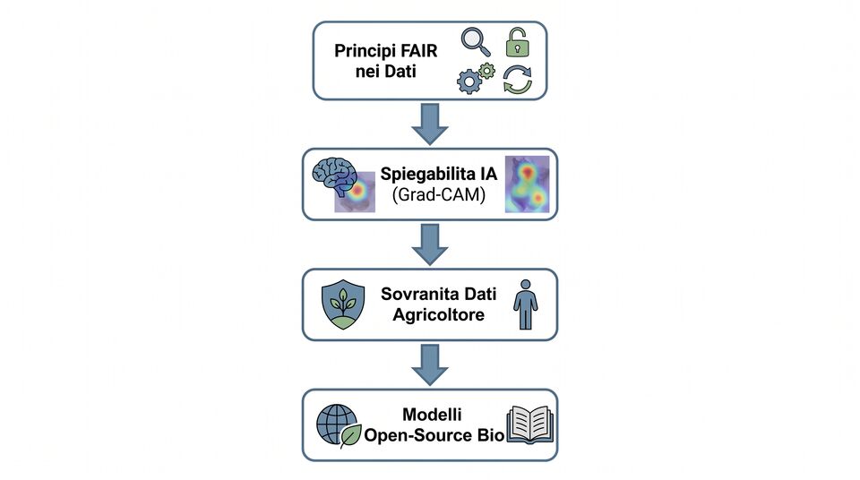 Principi FAIR, spiegabilità Grad-CAM, sovranità dei dati dell'agricoltore e modelli open-source