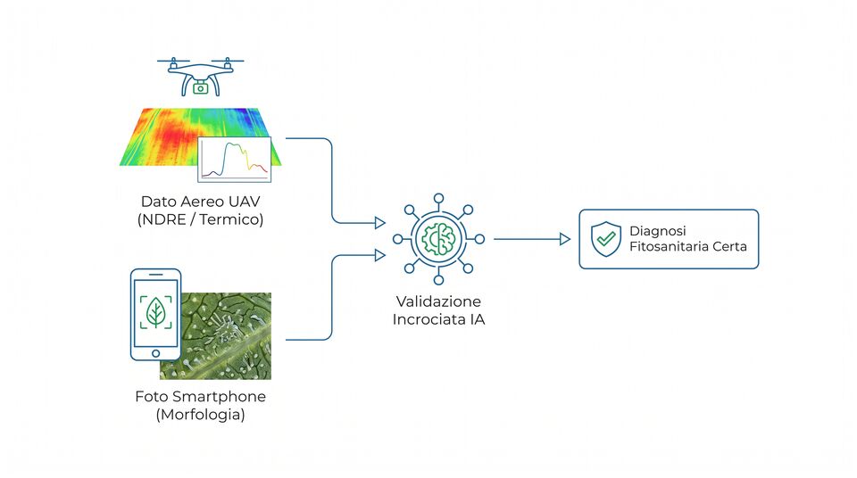 Validazione incrociata tra dato aereo NDRE-termico e foto smartphone per una diagnosi certa