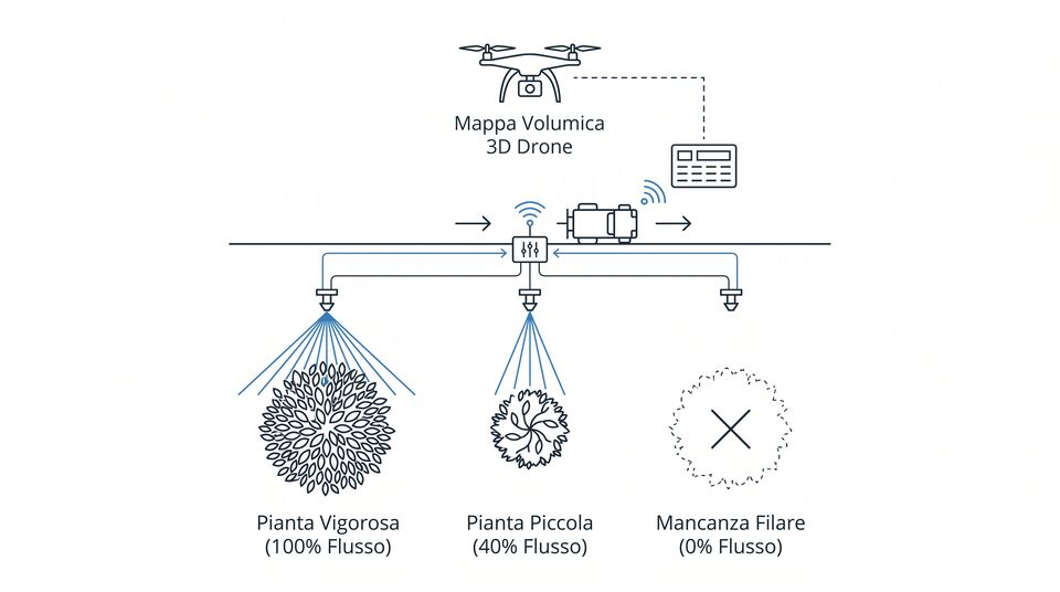 Irrorazione modulata dal drone: 100% flusso su pianta vigorosa, 40% su pianta piccola, 0% su mancanza