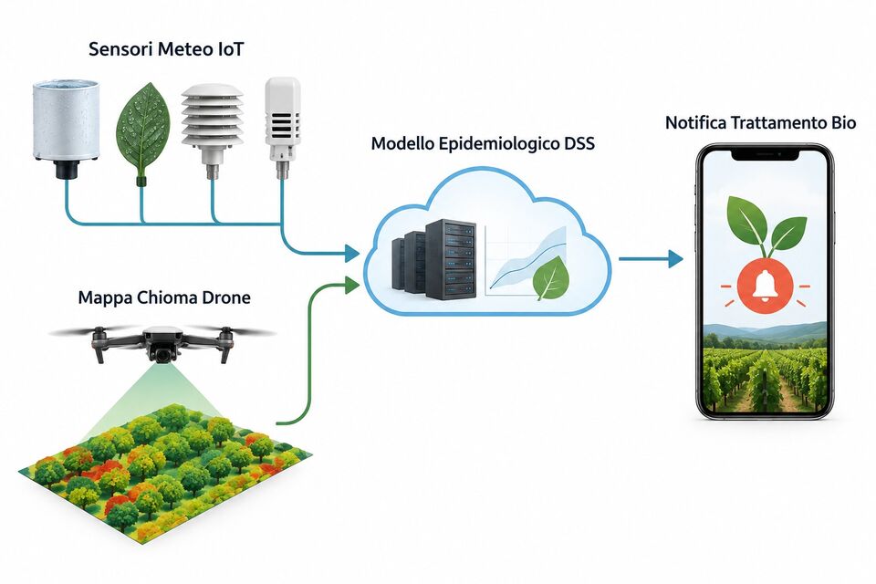 Modello epidemiologico DSS: sensori meteo IoT e mappa chioma del drone generano la notifica di trattamento
