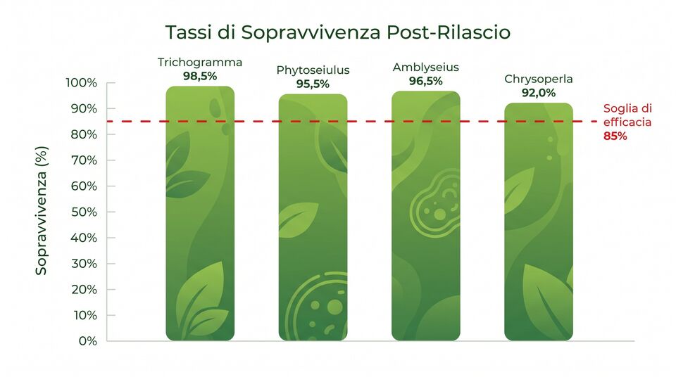 Tassi di sopravvivenza post-rilascio: Trichogramma 98,5%, Phytoseiulus, Amblyseius e Chrysoperla sopra l'85%